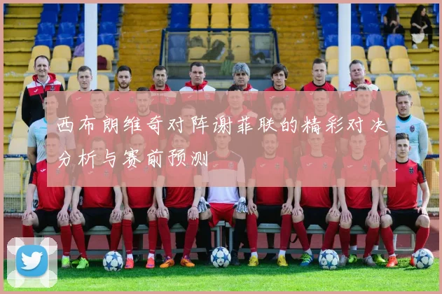 西布朗维奇对阵谢菲联的精彩对决分析与赛前预测