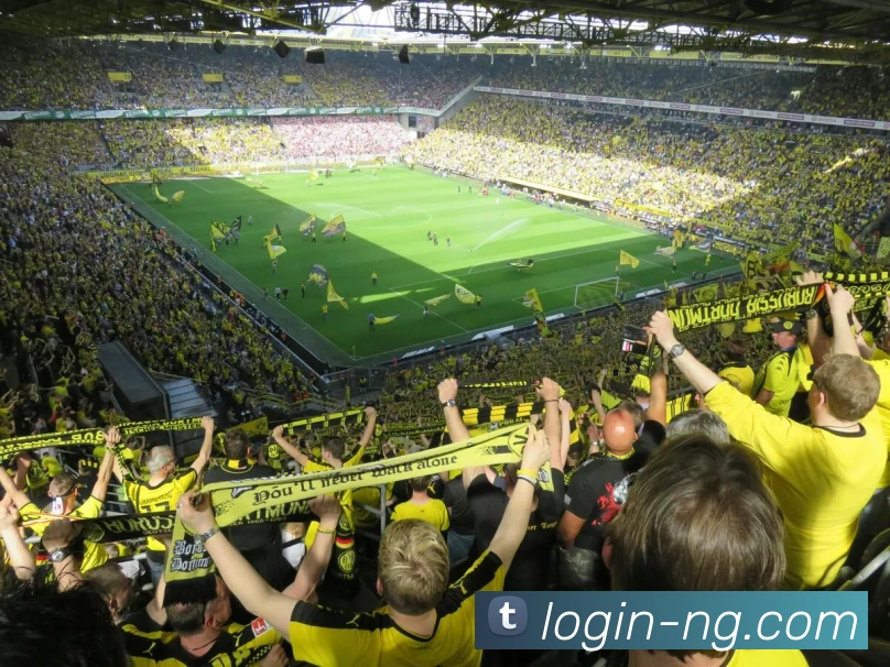 南宫娱乐发展历程