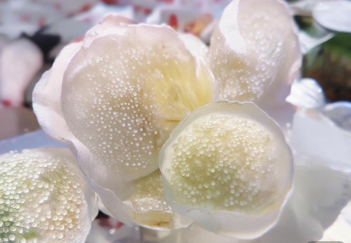 根特VS巴伦西亚：两队联赛排名对比与深度分析(图3)